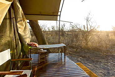 Tented camp in the Kalahari desert, dawn light