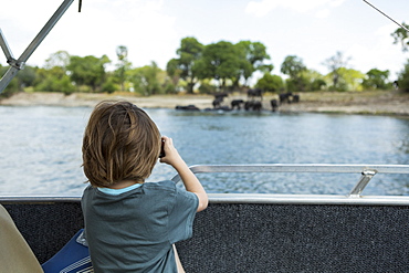 Rear view of 5 year old boy taking pictures of elephants at waters edge on the Zambezi River, Okavango Delta, Botswana