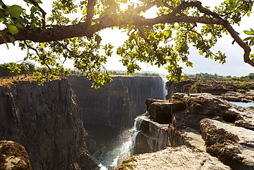 Victoria Falls from the Zambian side, view of the vertical cliffs of the river gorge, and water flowing fast, Victoria Falls, Zambia