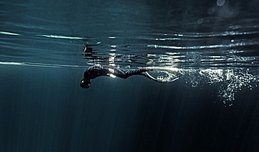 Underwater view of diver wearing wetsuit and flippers diving just below the water surface, United States of America