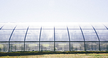 A polytunnel for growing crops with an opaque covering