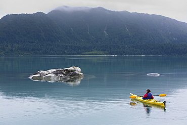 Female sea kayaker paddling pristine waters of Muir Inlet overcast sky in distance, Glacier Bay National Park, Alaska