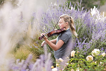 Teenage girl standing among flowering roses and shrubs playing a violin