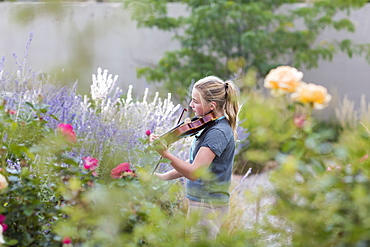 Teenage girl standing among flowering roses and shrubs playing a violin