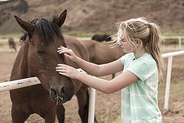 detail of horse's mane