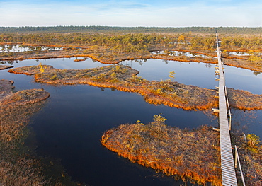 Wooden Boardwalk over Marsh, Estonia