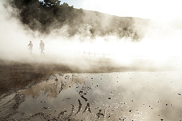 Thermal pools with mist rising from the heated water pools, Rotorua, North Island, New Zealand