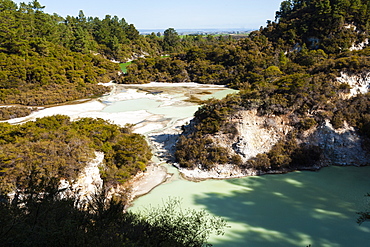 elevated view, thermal pools with mist rising from the heated water, Rotorua, North Island, New Zealand