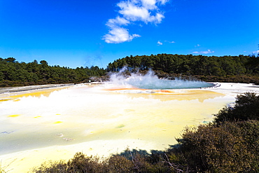 Large thermal pools with mist rising and yellow sulphur deposits, Rotorua, North Island, New Zealand