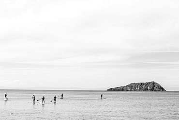 Stand-up paddlers on the Sea of Cortes, also known as the Gulf of California, Mexico