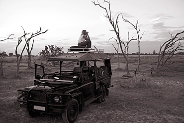 Woman standing on top of 4x4 parked in the Moremi Reserve, Botswana