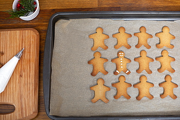 High angle close up of Gingerbread Men on a baking tray