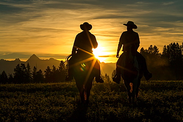 Two cowboys riding across grassland with mountains in background, early morning, British Colombia, Canada