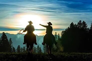 Two cowboys riding across grassland with mountains in background, early morning, British Colombia, Canada