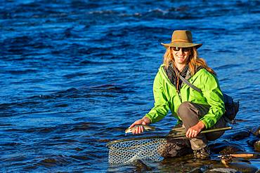 Fly fisherwoman landing trout with net on river, British Colombia, Canada