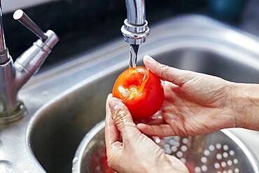 Washing tomato in sink