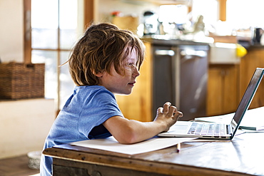 Young boy using his laptop computer at home