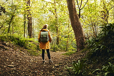 Woman standing in woodland