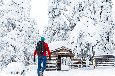 Entrance to Riisitunturi National Park, winter, Lapland, Finland