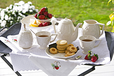 A traditional afternoon tea set out on a tea tray in a garden with white china and strawberries, Maryland, USA