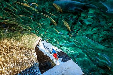 Person exploring a glacial Ice Cave on the Svinafellsjokull glacier