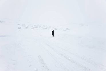 Snowy road, Tasiilaq, Greenland