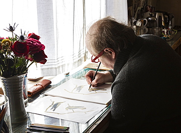 Mature artist at work drawing on paper, a wildlife study of birds.