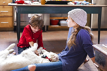 teenage girl and her younger brother playing with their Golden Retriever