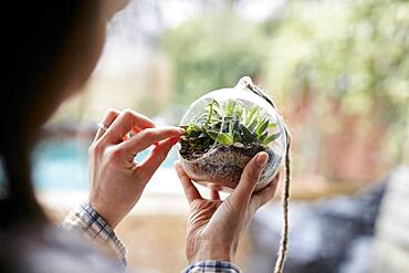 Close up of woman's hands caring for plants within glass terrarium, Bristol, United Kingdom