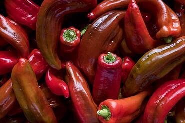 High angle close up of freshly picked red peppers, Oxfordshire, United Kingdom