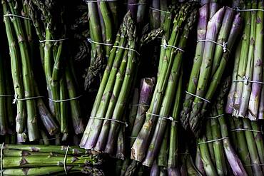 High angle close up of freshly picked bunches of green asparagus, Oxfordshire, United Kingdom