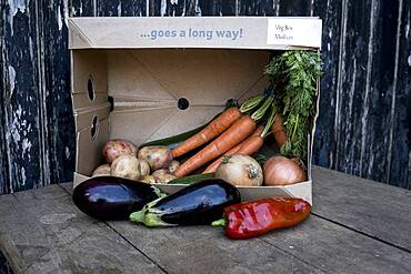 Close up of an organic vegetable box with a selection of fresh produce, Oxfordshire, United Kingdom