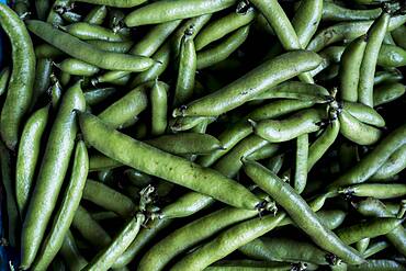 High angle close up of freshly picked green beans, Oxfordshire, United Kingdom