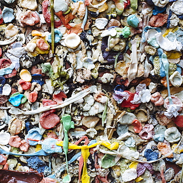 Close up of chewed bubble gum stuck on The Gum Wall in Pike Place market in Seattle. 