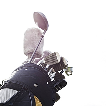 Golf clubs in golf bag