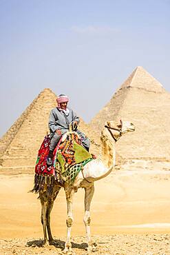 Tombs of the pharaohs Khufu, Khafre, and Menkaure, the pyramids, a guide riding a camel