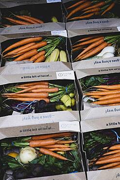 High angle of vegetable and fruit boxes, freshly picked carrots and bananas.