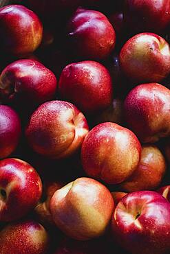 High angle close up of freshly picked yellow nectarines.