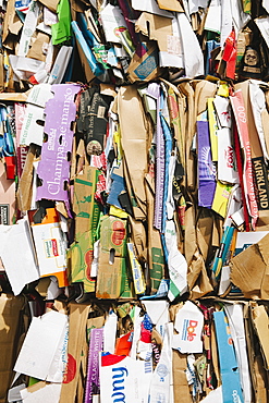 Recycling facility with bundles of cardboard sorted and tied up for recycling, Washington state, USA