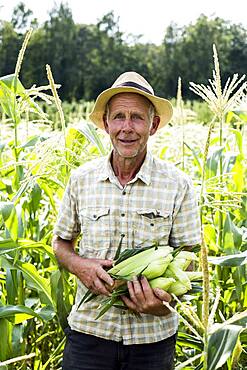 Farmer standing in a field, holding freshly picked sweetcorn.