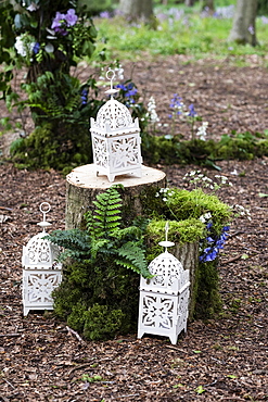 Lanterns, candle holders and spring flowers in a forest