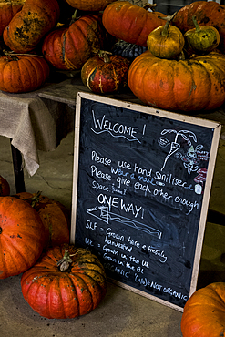 Pumpkins and blackboard with welcome note in a farm shop.