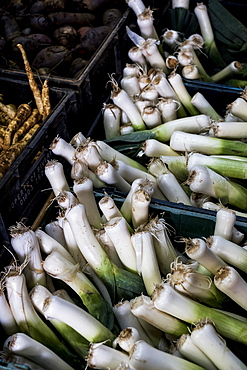 High angle close up of bunches of freshly picked leeks.