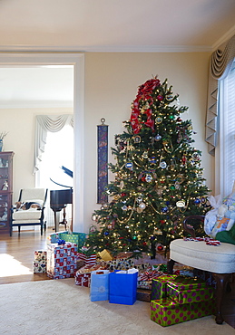 Living room with Christmas tree and gifts, traditional decorations in an American home