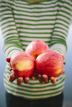 Nine year old girl holding handful of organic apples, Seattle, Washington, USA