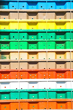 Stacks of multi-colored containers used for harvesting grapes, Washington State, USA