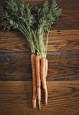 A small bunch of carrots with green leafy tops freshly harvested, lying on a tabletop, Woodstock, New York, USA