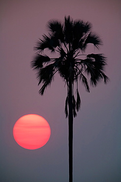 Sunset, Botswana, Botswana