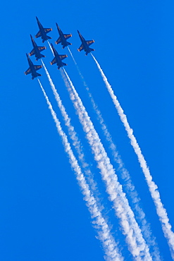 Blue Angels perform at Seafair, Seattle, Washington, USA, Seattle, Washington, USA