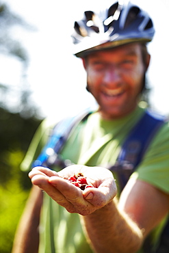 Hiker on Trail with Native Raspberries, Cape Breton Island, Nova Scotia, Canada